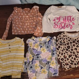 Infant Girl's Long-Sleeve Bodysuit Bundle - 18M